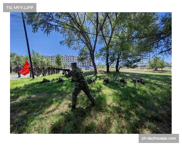 基础战术执行合格率仅82%，尼克斯沟通机制待改善